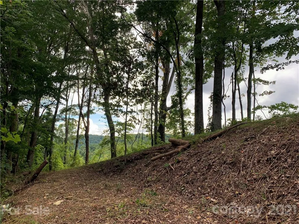375 Buck Drive Hot Springs, NC 28743