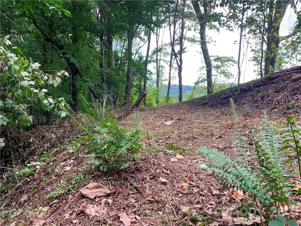 375 Buck Drive Hot Springs, NC 28743