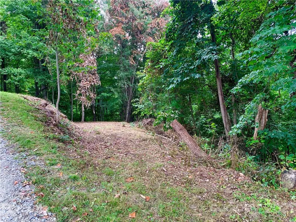 375 Buck Drive Hot Springs, NC 28743