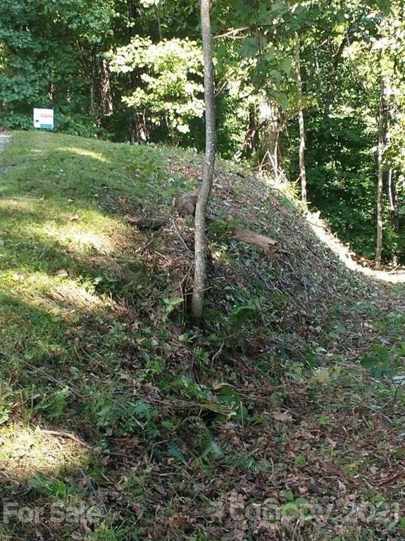375 Buck Drive Hot Springs, NC 28743
