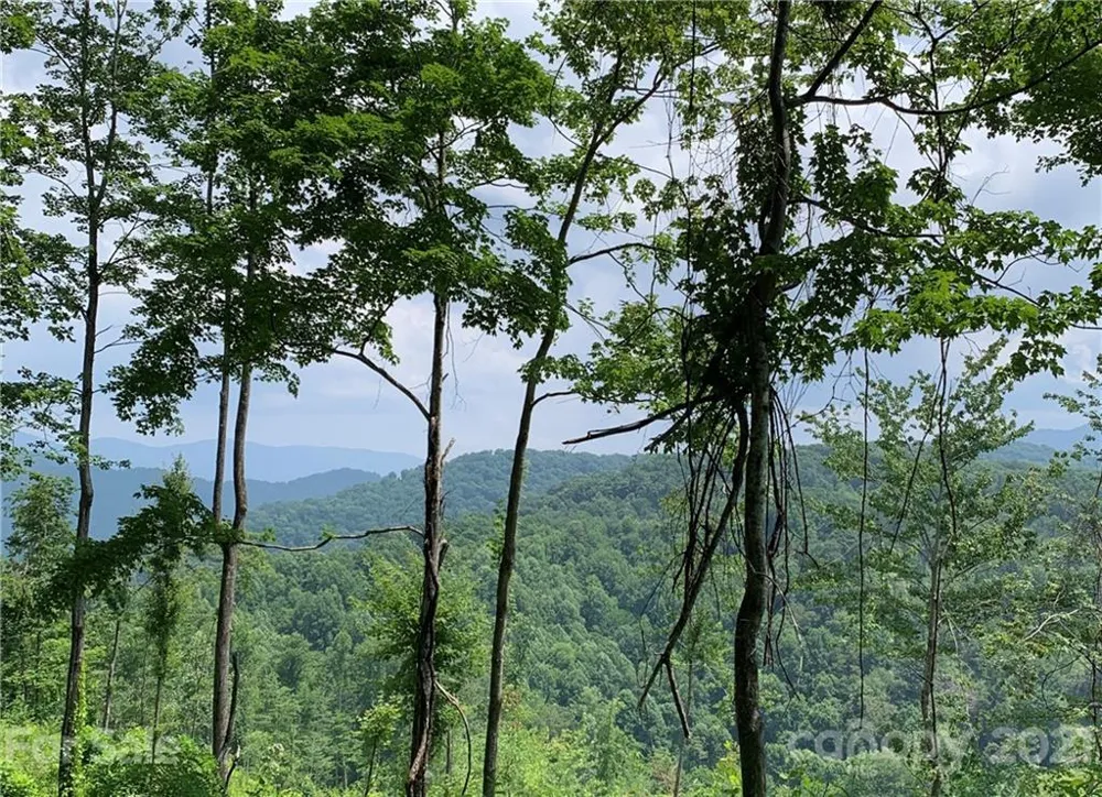 375 Buck Drive Hot Springs, NC 28743