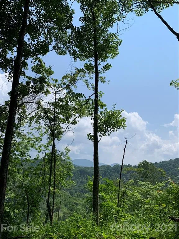 375 Buck Drive Hot Springs, NC 28743