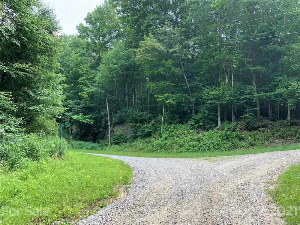 375 Buck Drive Hot Springs, NC 28743