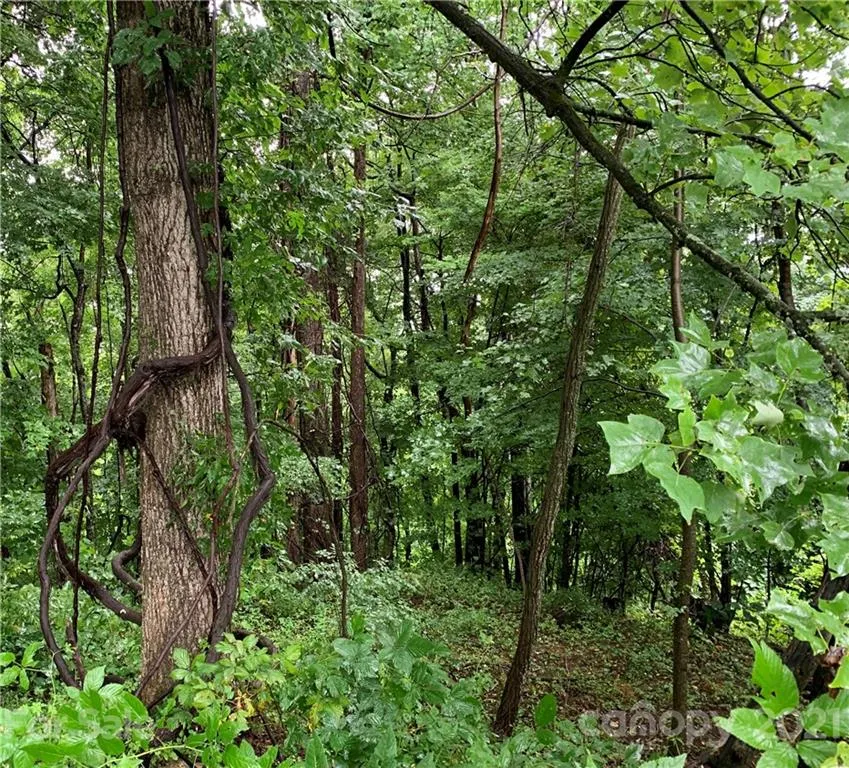 375 Buck Drive Hot Springs, NC 28743