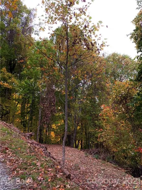 375 Buck Drive