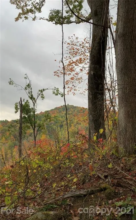 375 Buck Drive Hot Springs, NC 28743
