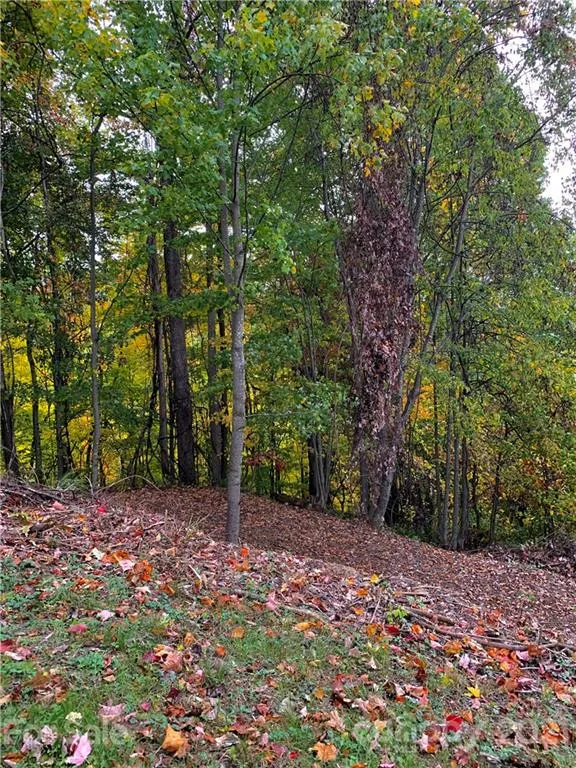 375 Buck Drive Hot Springs, NC 28743