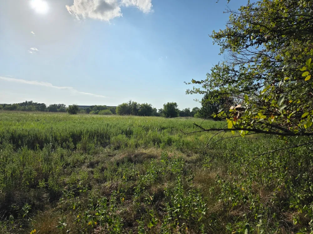 Grayson Street Groesbeck, TX 76642