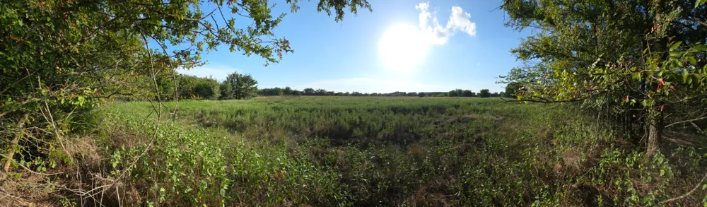 Grayson Street Groesbeck, TX 76642