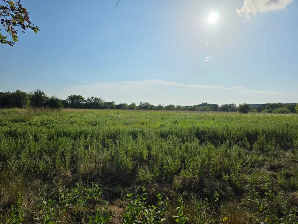 Grayson Street Groesbeck, TX 76642