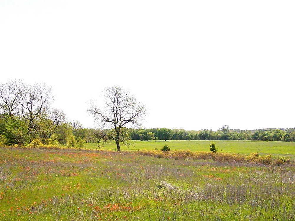 55 Starr Mann St Jo, TX 76265