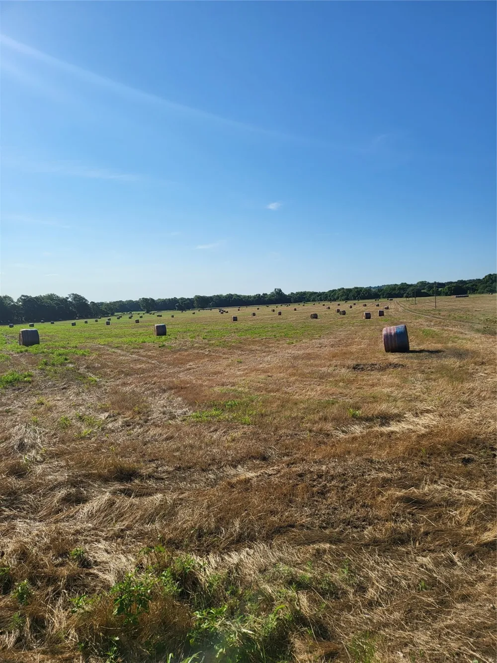 55 Starr Mann St Jo, TX 76265