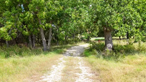 122 Private Road 2164