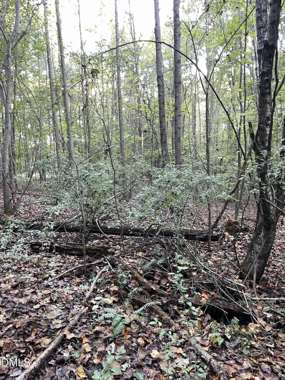 2865 Silk Hope Gum Springs Road Pittsboro, NC 27312