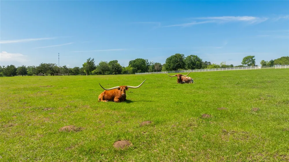 2228 Centerhill Road Bellville, TX 77418