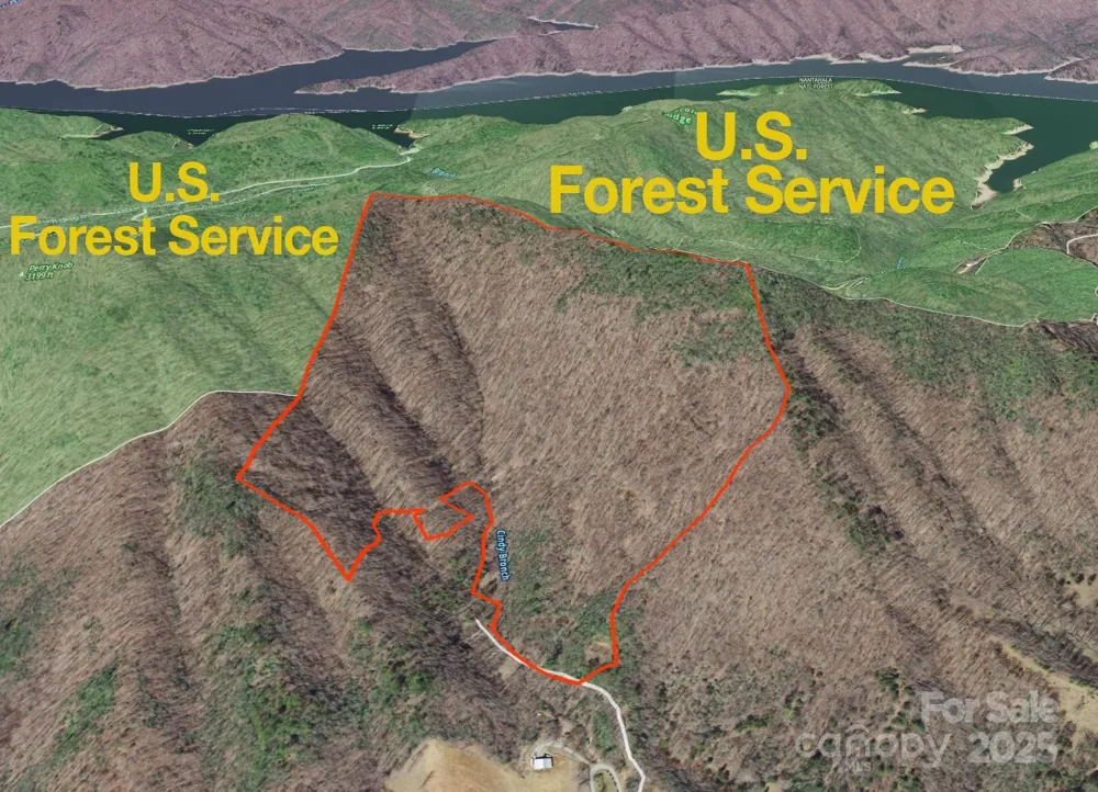 9999 Cindy Cove Trail Robbinsville, NC 28771