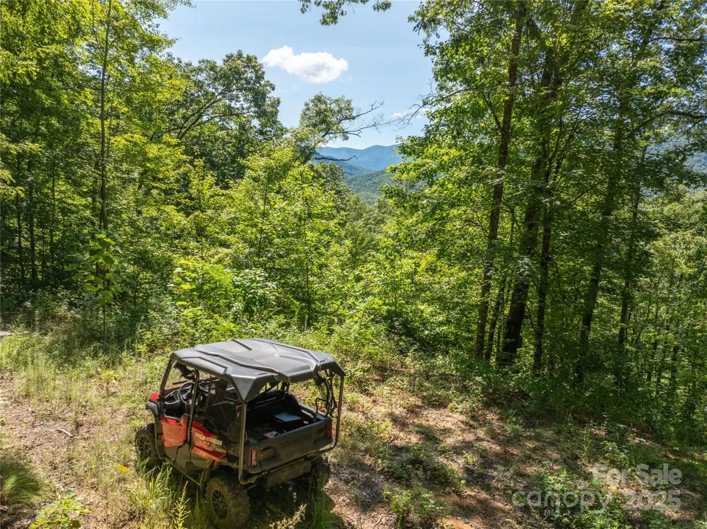 9999 Cindy Cove Trail Robbinsville, NC 28771