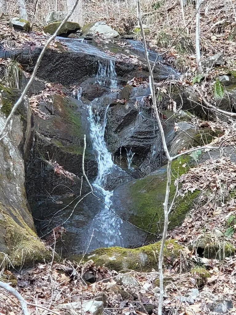 9999 Cindy Cove Trail Robbinsville, NC 28771