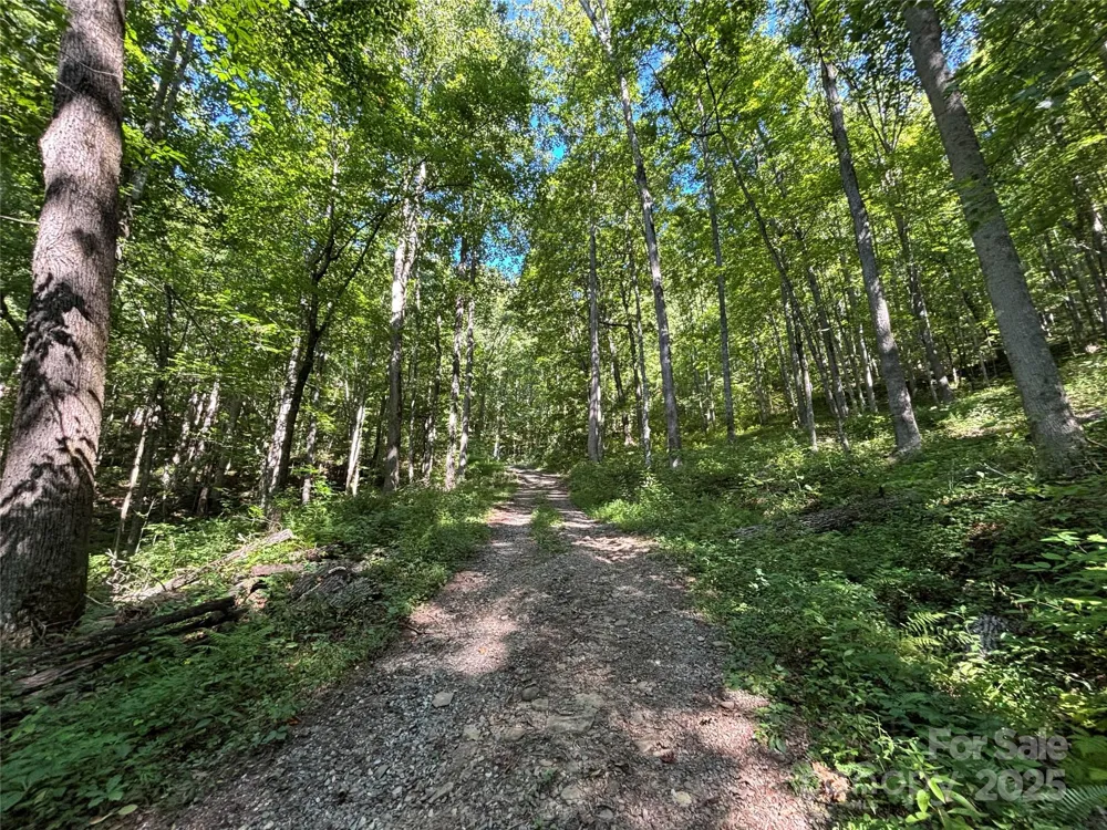 9999 Cindy Cove Trail Robbinsville, NC 28771