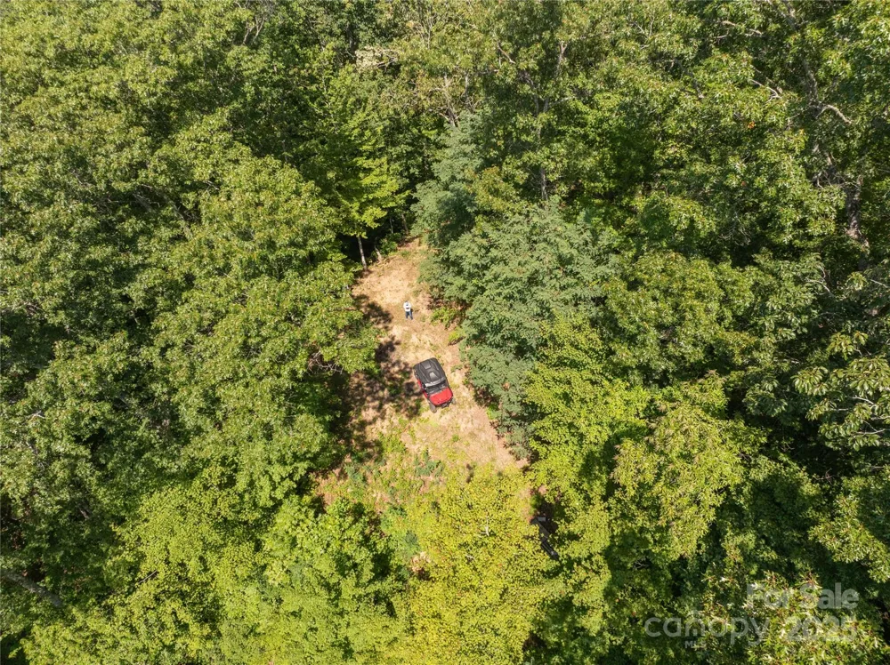 9999 Cindy Cove Trail Robbinsville, NC 28771