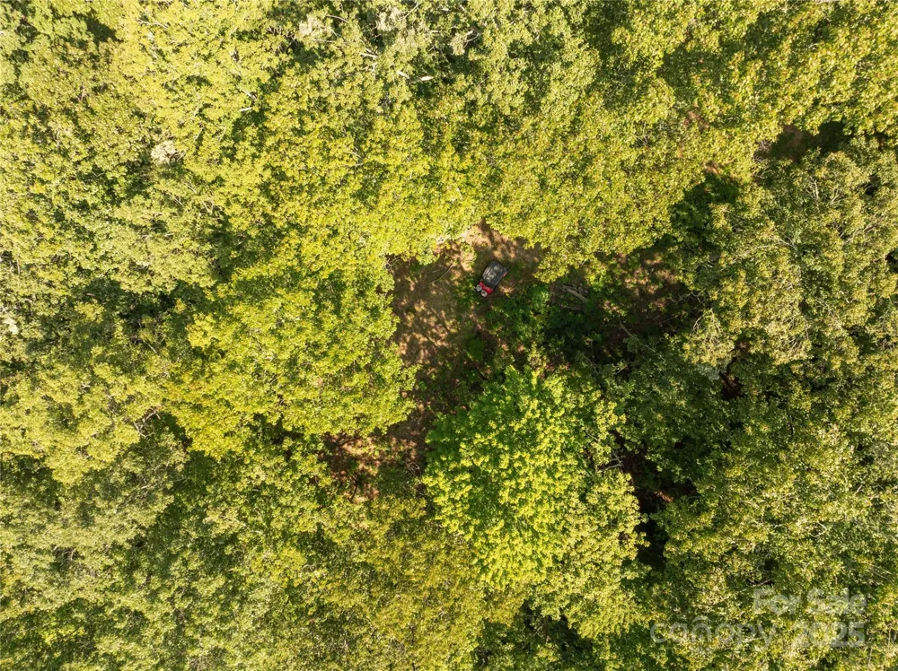 9999 Cindy Cove Trail Robbinsville, NC 28771