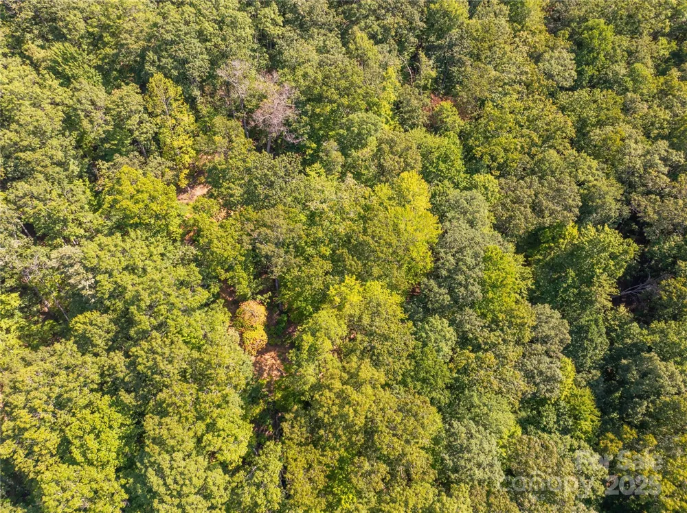 9999 Cindy Cove Trail Robbinsville, NC 28771