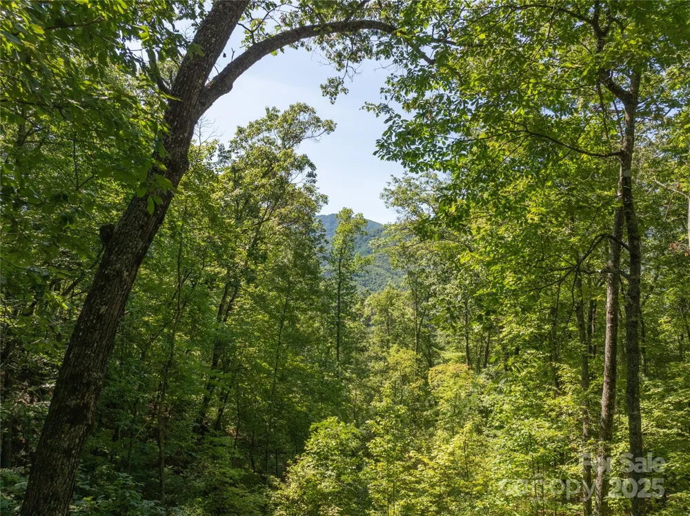 9999 Cindy Cove Trail Robbinsville, NC 28771