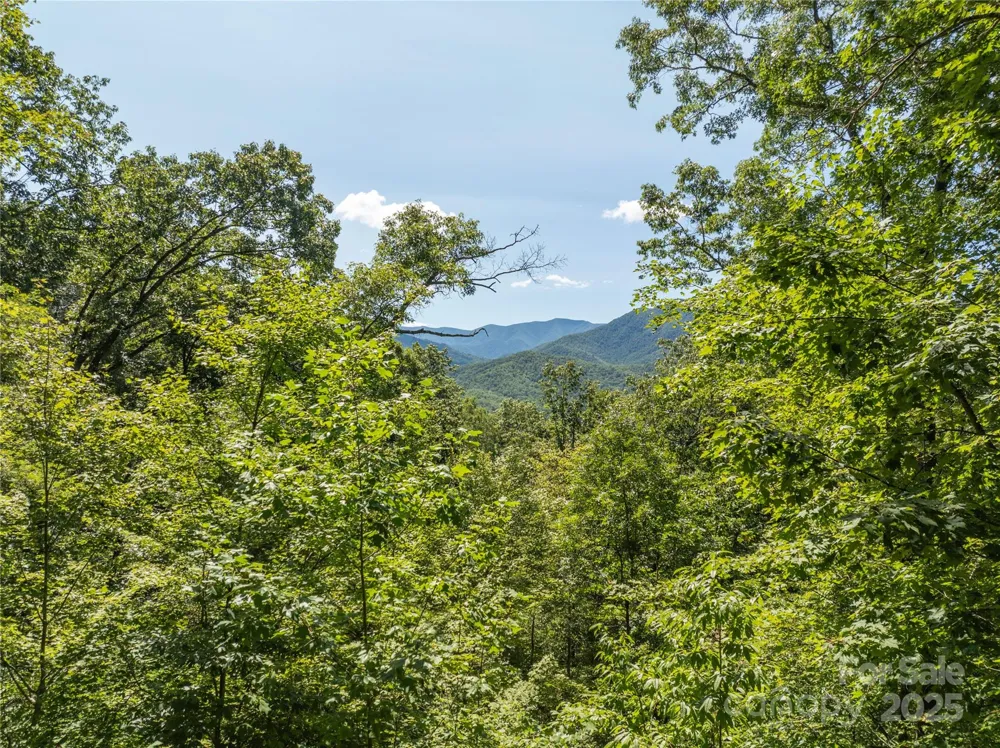 9999 Cindy Cove Trail Robbinsville, NC 28771