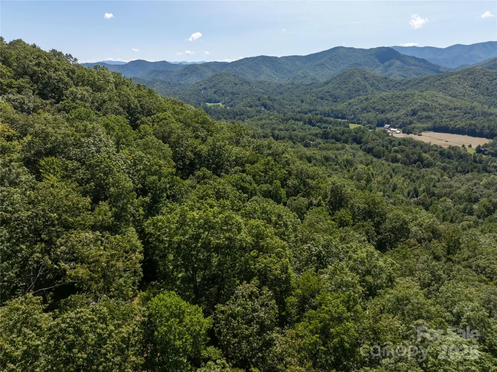 9999 Cindy Cove Trail Robbinsville, NC 28771