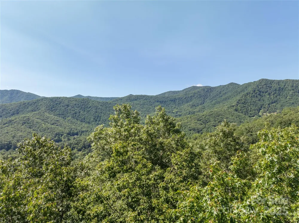 9999 Cindy Cove Trail Robbinsville, NC 28771