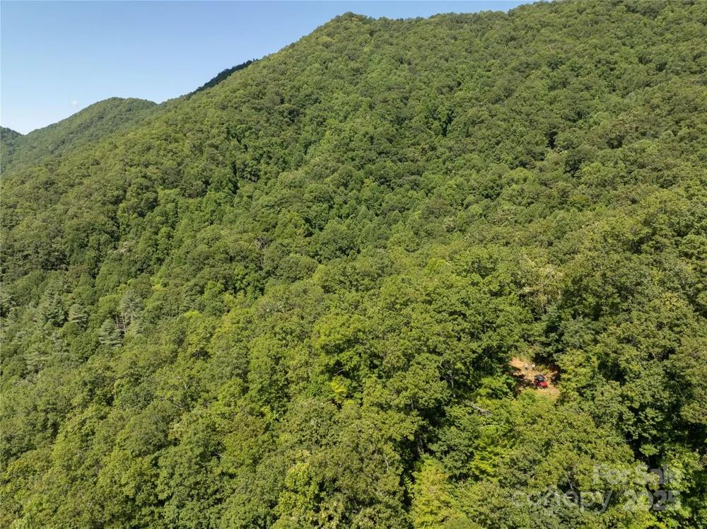 9999 Cindy Cove Trail Robbinsville, NC 28771