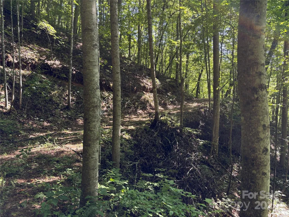 9999 Cindy Cove Trail Robbinsville, NC 28771