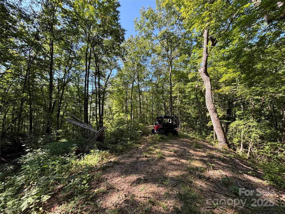 9999 Cindy Cove Trail Robbinsville, NC 28771