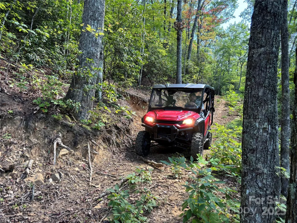 9999 Cindy Cove Trail Robbinsville, NC 28771