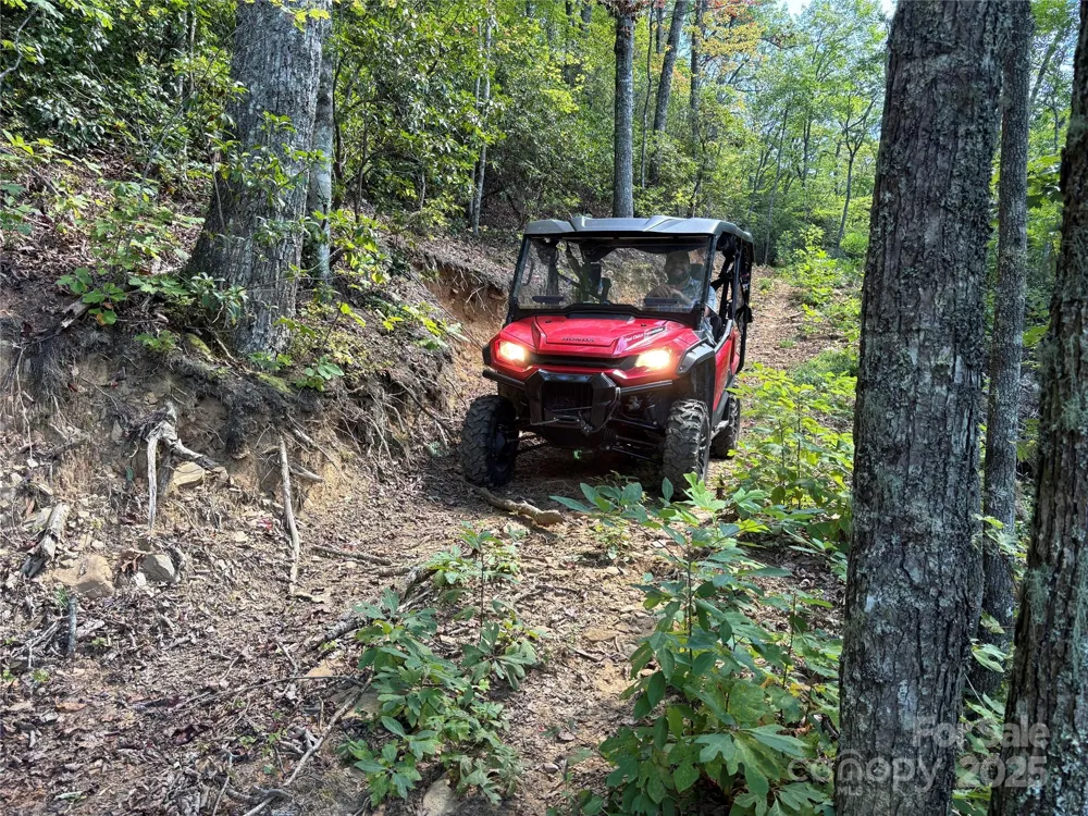 9999 Cindy Cove Trail Robbinsville, NC 28771