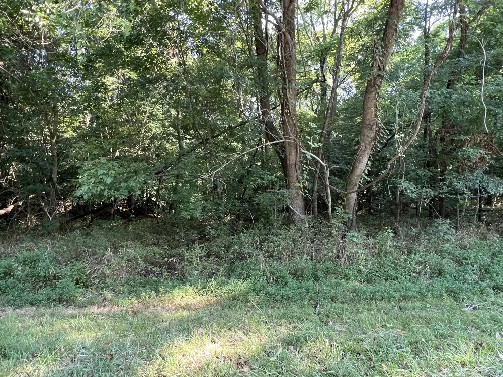 7 Jarrell Ridge Rd Clarksville, TN 37043