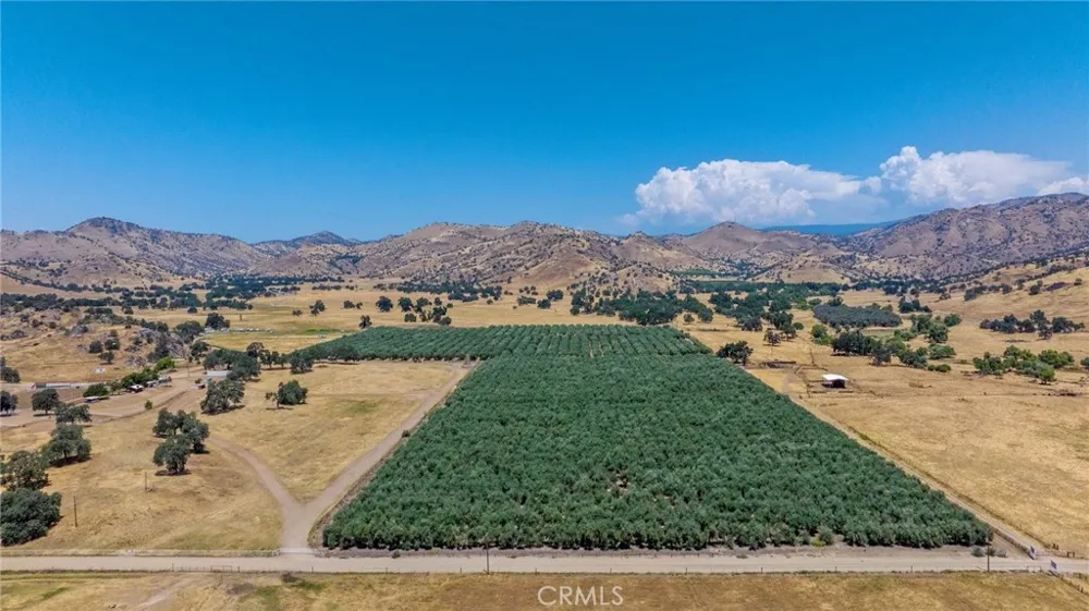 19400 398 Woodlake, CA 93286