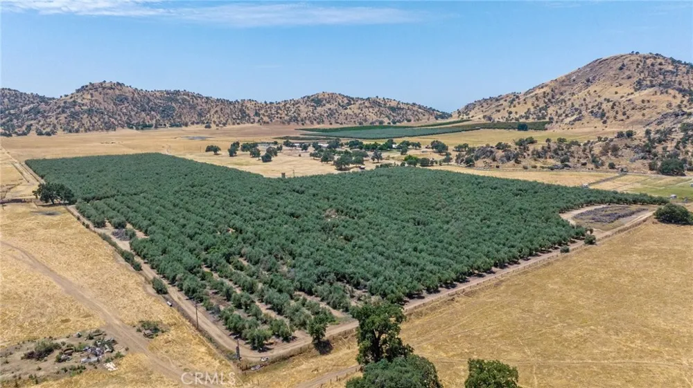 19400 398 Woodlake, CA 93286