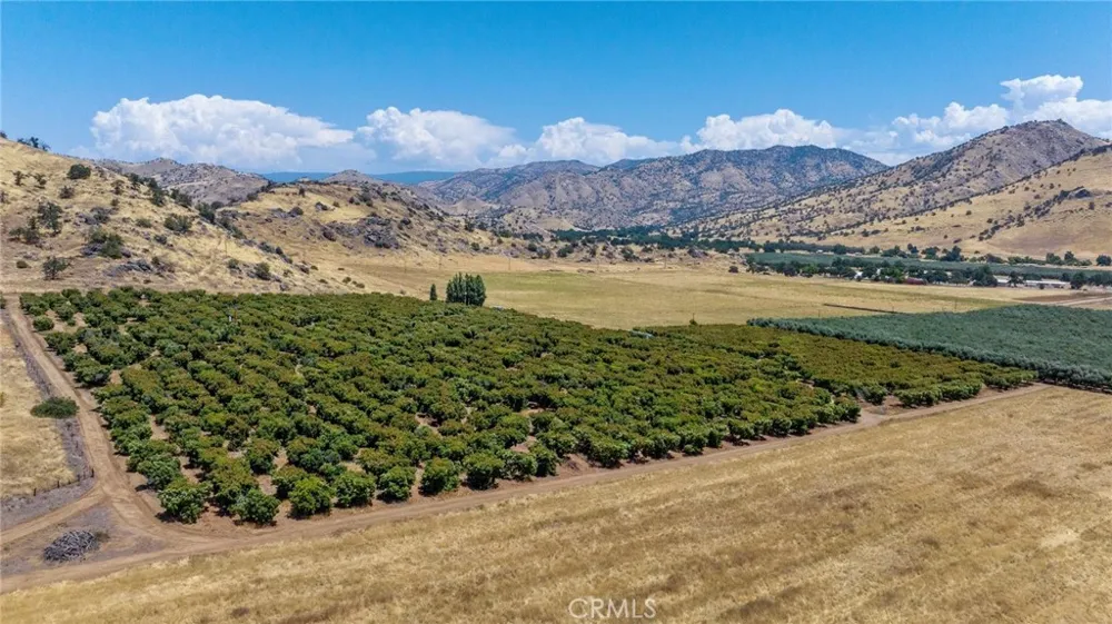 19400 398 Woodlake, CA 93286