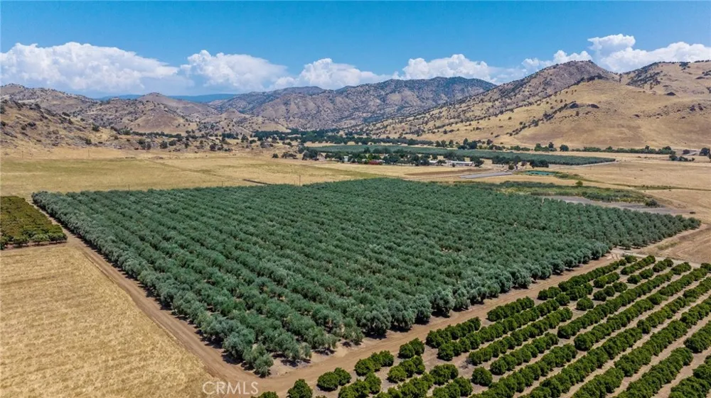 19400 398 Woodlake, CA 93286