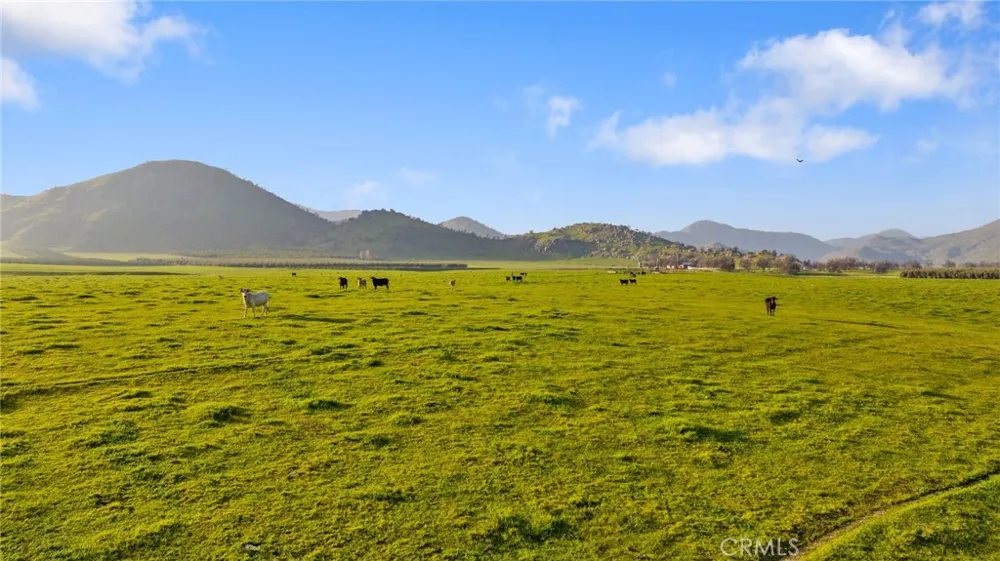 19400 398 Woodlake, CA 93286