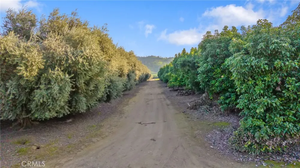 19400 398 Woodlake, CA 93286