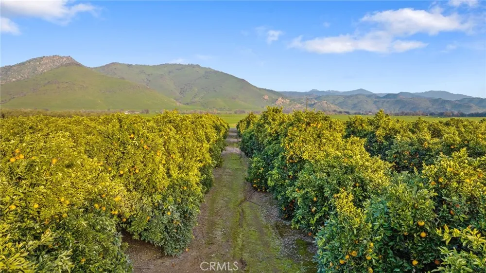 19400 398 Woodlake, CA 93286