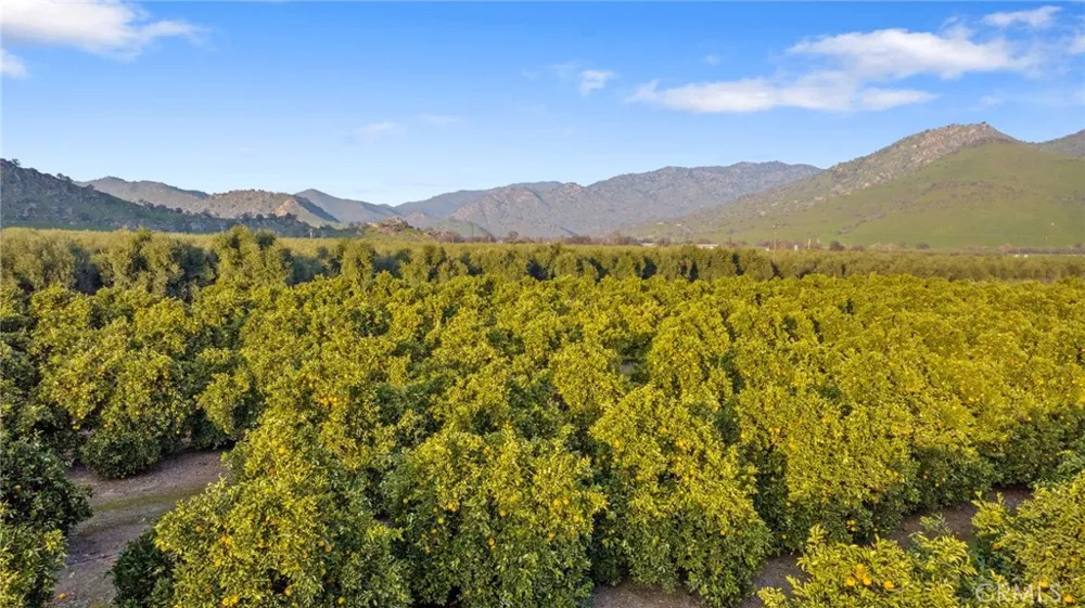 19400 398 Woodlake, CA 93286