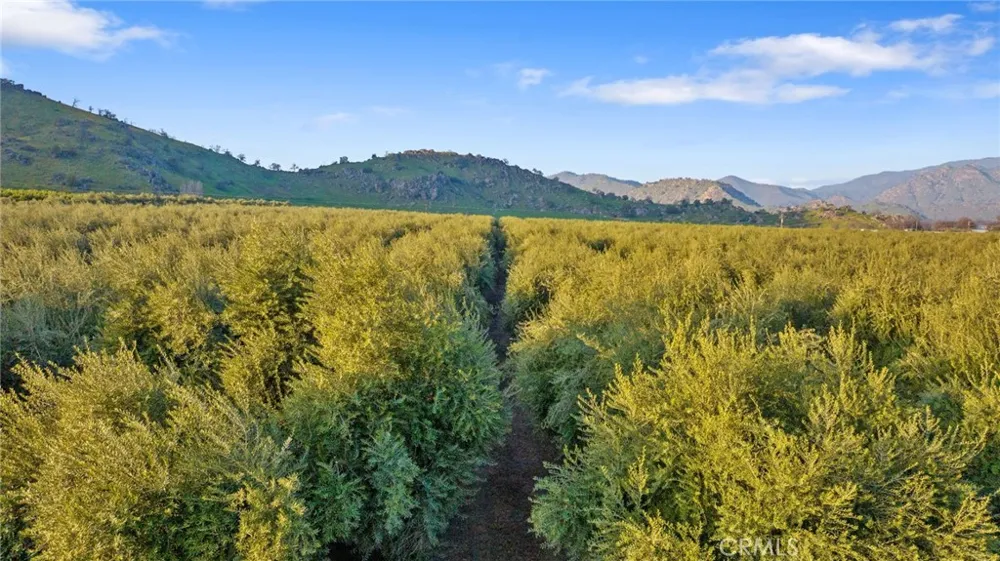 19400 398 Woodlake, CA 93286