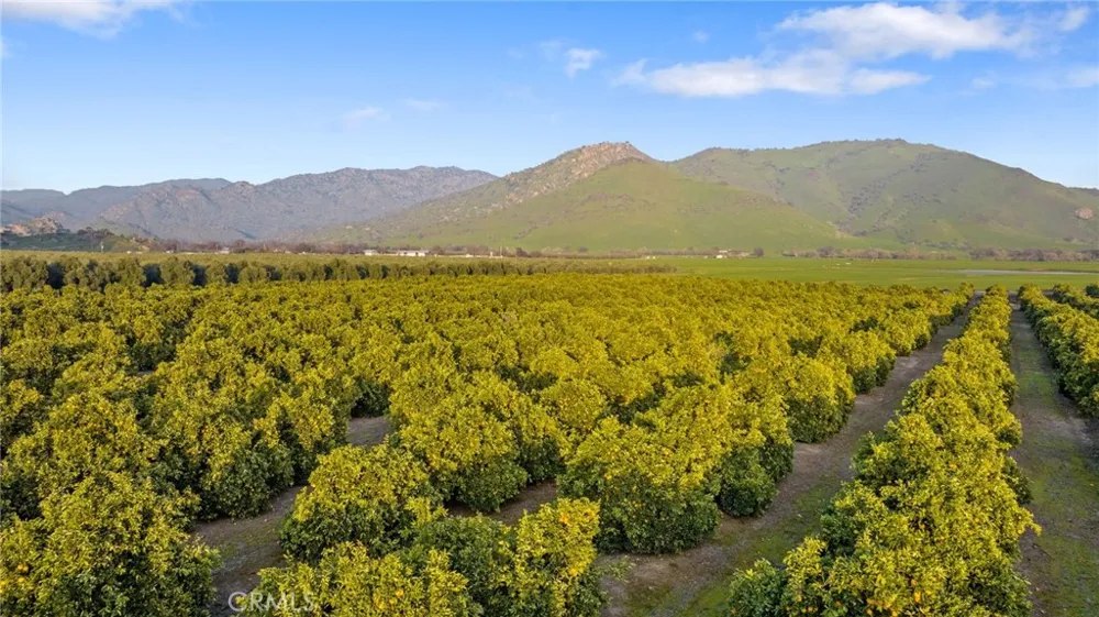 19400 398 Woodlake, CA 93286