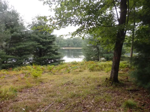 Shingle Mill Way W #19