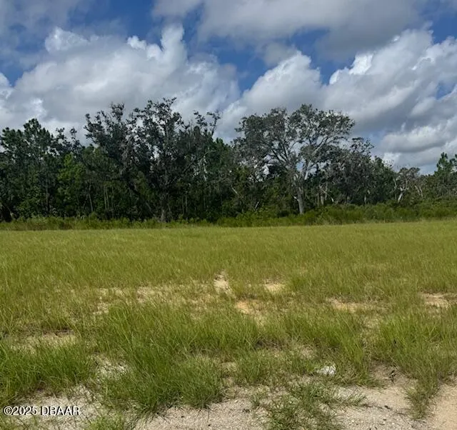 93 Coronado Road Flagler Beach, FL 32136