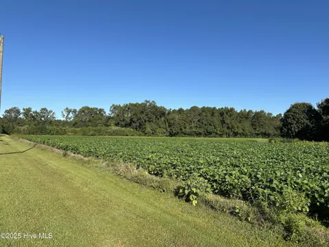 00 Hill Loop Road
