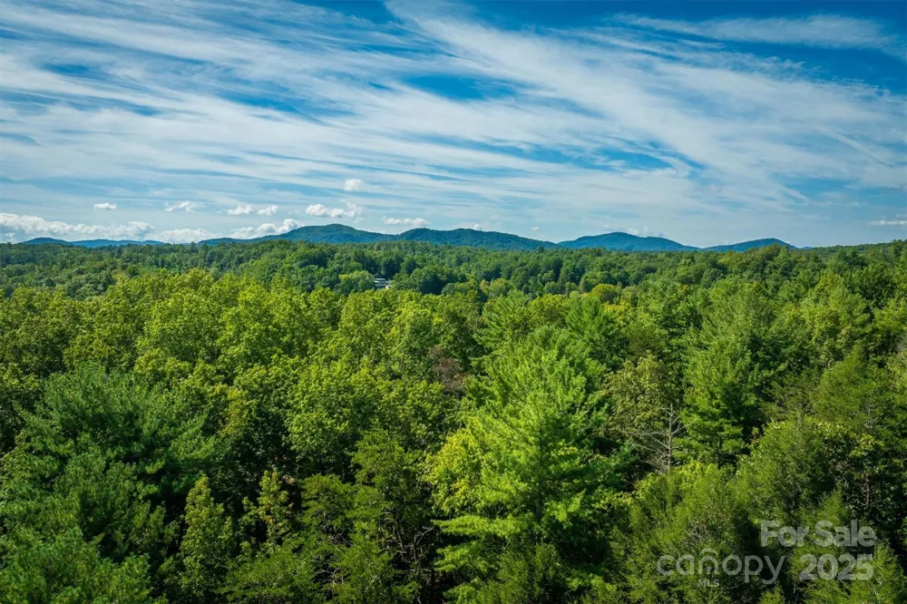 2205 Black Forest Drive #28 Marion, NC 28752